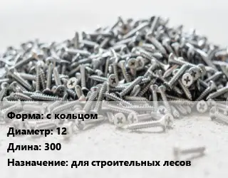 Шуруп с кольцом 12х300 для строительных лесов